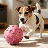 Squeaky Dog Ball Raised Texture Dog Chew Toy Bite-Resistant Puppy Teething Toy for Dogs Teeth Cleaning Boredom Relief