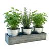 3-piece Metal Vanilla Planting Pot Desktop Flower Box Decor S Ucculent Plant Set Creative House Pot Flower Pot Flower Bucket