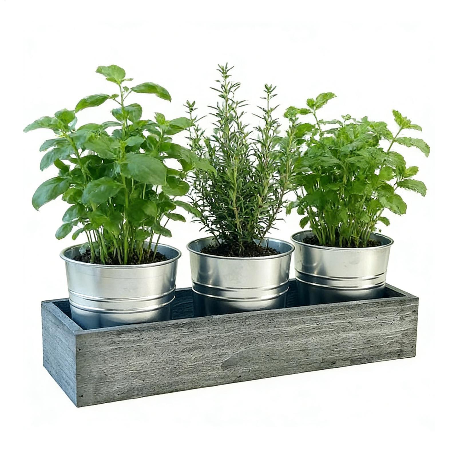 

3-piece metal vanilla planting pot desktop flower box decor s ucculent plant set creative house pot flower pot flower bucket China Mainland