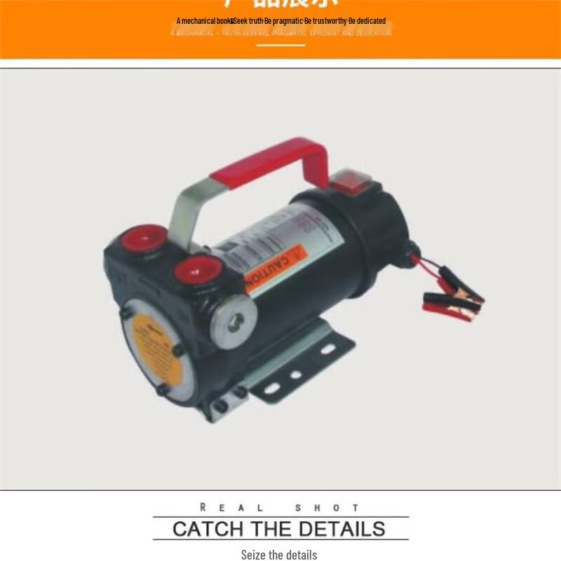 TLXT WCB Series Gear Oil Transfer Pump CN plug (adapter included)