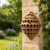 Wall Mounted Bee House Wall-Mounted House, Outdoor Pollinator Shelter, Honeycomb Design Weather Resistant Nesting Box Plastic Hotel for Solitary Bees,