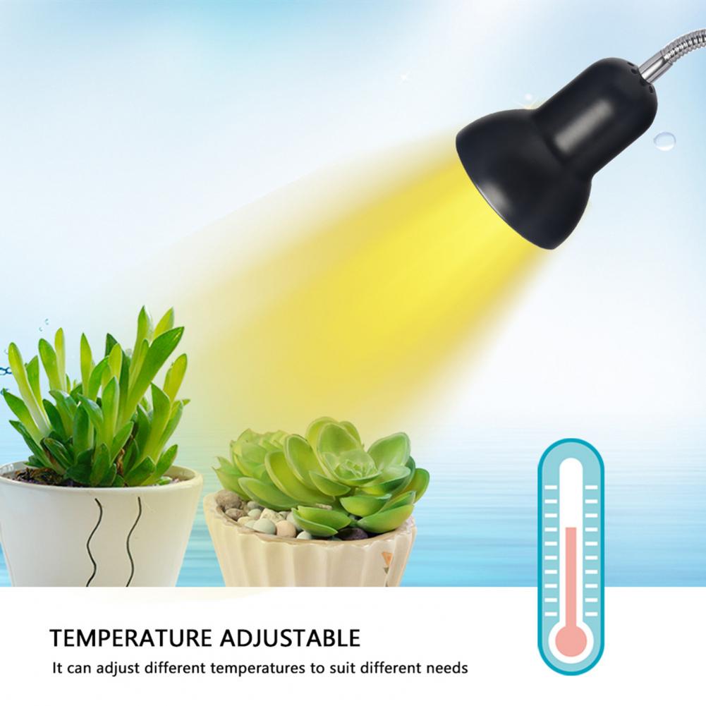 Adjustable Light Stand for Ideal Heat Light Source for A Variety of Adjustable Light Stand with Timer for Pet Heater for Ceramic