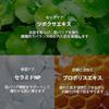 VTCOSMETICS Face Mask Skin Care Single Item (1. CICA Daily Soothing Mask)