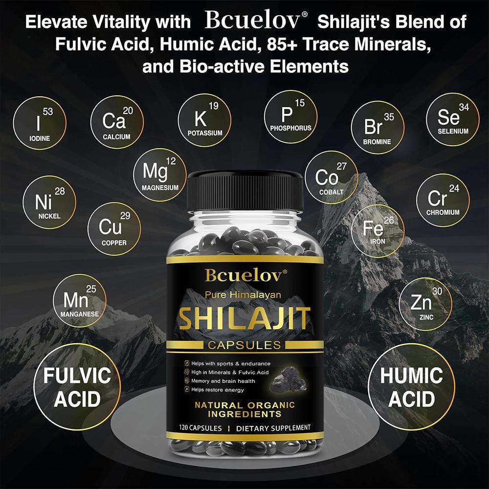 Reine Himalaya Shilajit Kapseln, Premium Mineralstoffergänzung mit Fulvinsäure & Spurenelementen, Energie, Ausdauer & Gehirnunterstützung