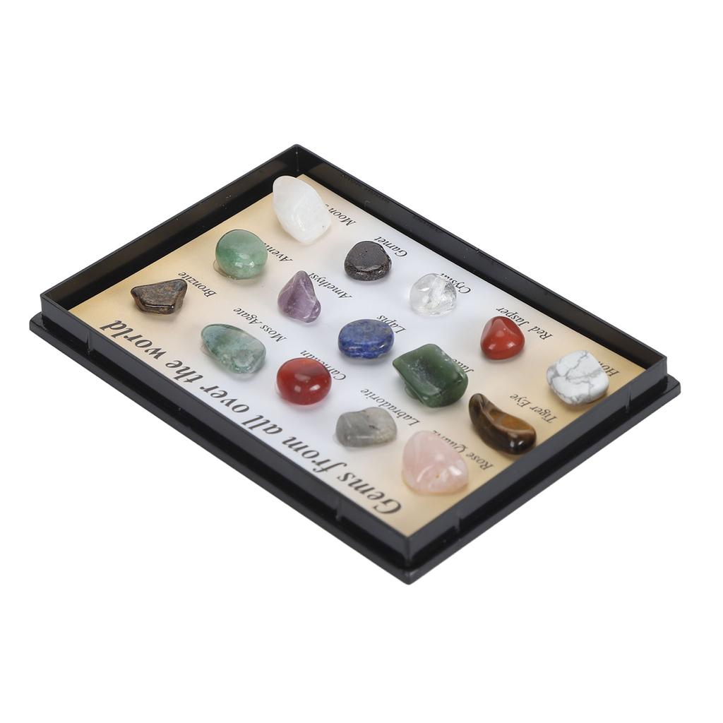 Rock Stone Colletction Kit for Kids Exquisite Science Classroom Rocks and Minerals Collection Minerals Educational