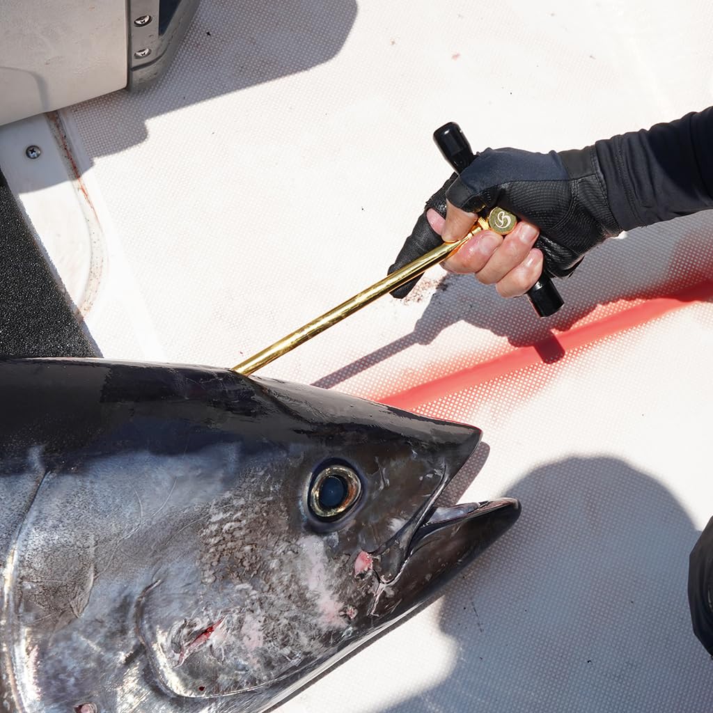 Belmont Fish Ippatsu Pro MP-166 Plektrum,