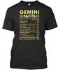 Zwilling Fakten T Lustig - Super schlau Unvorhersehbar Problem Premium T-Shirt