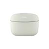 Panasonic Mini Fascia Gun Massager CN plug (adapter included)