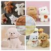 TVETE Craft Mole Set of 15mm x 4 Coral Fluff Mole Doll Handmade Mole Bendable Cute Plush DIY Craft Modeling Includes Nose and Ideal for School