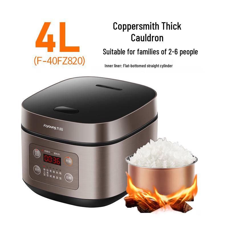 Joyoung 4L Multi-Function Rice Cooker F-40FZ820B CN plug (adapter included)