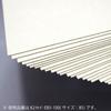 Kokuyo File Cardboard Cover K2 A3 100 Sheets K2SEI-EA3-100