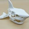 3D Printing Shark Skull Skeleton Cosplay Props Aquarium Ornaments Fish Tanks, Reptiles Fish Tank Landscapes Fish Shrimp Shelter