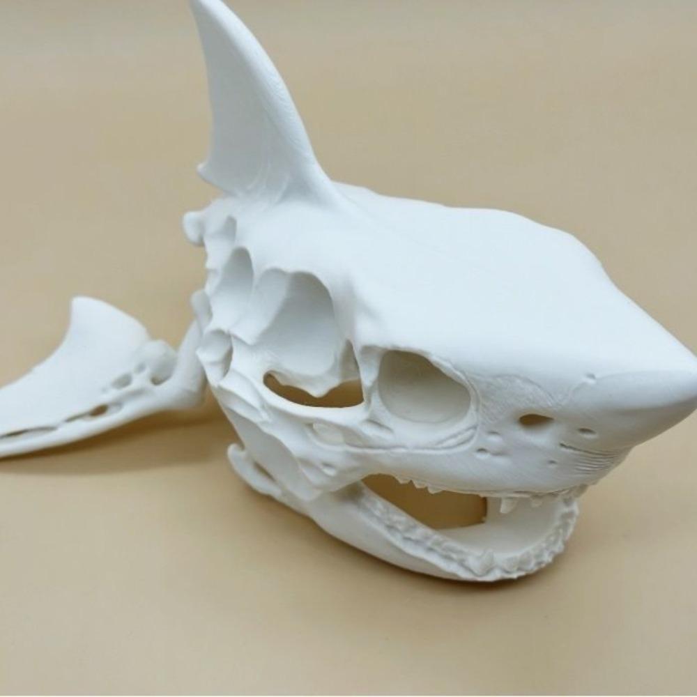 3D Printing Shark Skull Skeleton Cosplay Props Aquarium Ornaments Fish Tanks, Reptiles Fish Tank Landscapes Fish Shrimp Shelter