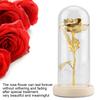 Konservierte Rosenblume LED-Licht mit Glaskuppel & Holzsockel Valentinstag Hochzeitsgeschenk
