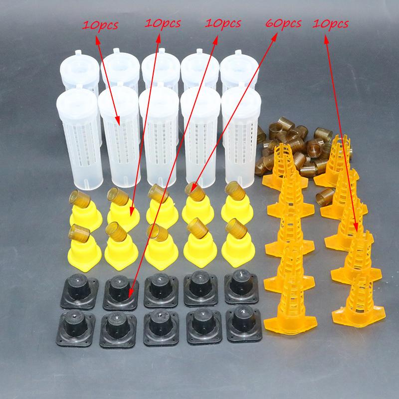Complete Bee Queen King Rearing Kit System Cages Bees Tools Set Supplier Tool Equipment Base Celular Cells Cell Beekeeping