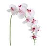 Fake Flower Real Touch Beautiful 5 Colors Great Wedding Phalaenopsis Party Floral Ornament for Living Room