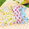 Pet Cats Can Be Taken Out. Love Summer Dresses Dog and Cat Supplies Corgi Dog Clothes and Accessories