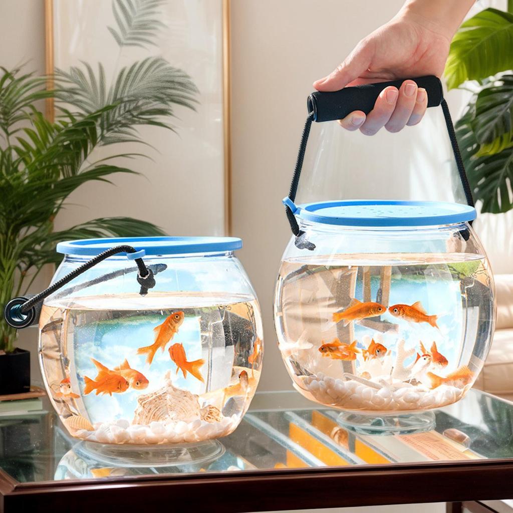 PET Beach Fish Tank Small Aquarium Fish Transport Container Mini Shell Crab Landscape Fish Tank Transparent Breathable Tank Box