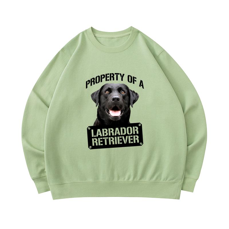 labrador sweatshirt