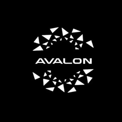 2PCS For Toyota Avalon 2022 and later models, car door welcome light, projector light, ground light, door warning light, decorat