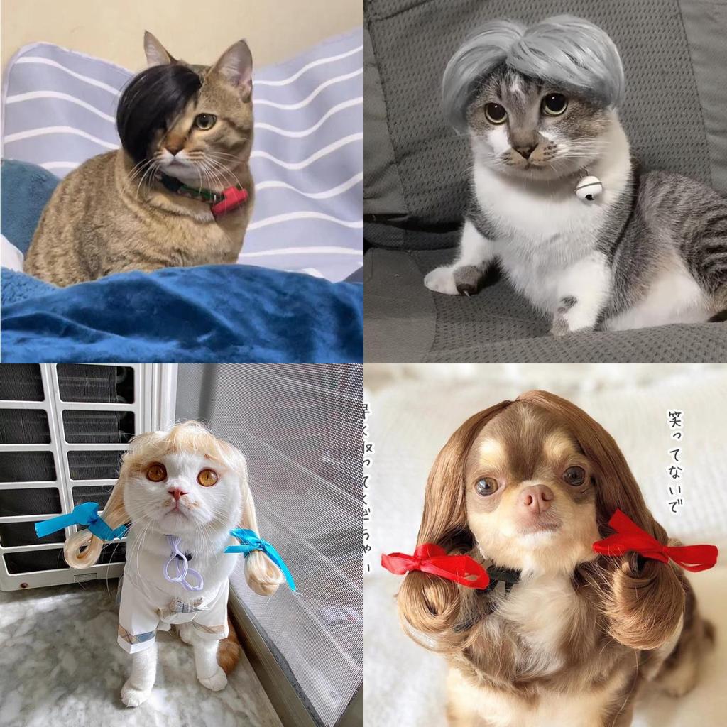 Adorable Cat Wig Featuring Center Part And Colorful Braids For Unique Pet Costumes