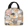 Cat Lunch Bag, Cute Kids Reusable Cooler Lunch Tote Bag Insulated Leakproof Lunch Box Container with Front Pocket for Girls Boys