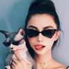 Latest Small Frame Vintage Retro Irregular Sunglasses for Men Fashionable Women Cat Eye Sun Eyeglasses Men and Women Triangle Glasses