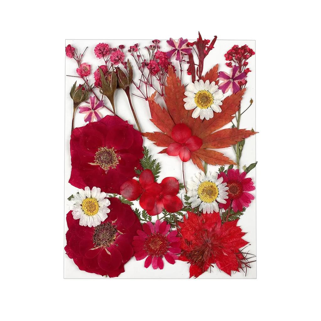 25PCS Dried Flowers Set for DIY Resin Pendant Making Filling Pressed Real Natural Flowers Leaves for Bookmark Phose Case Making