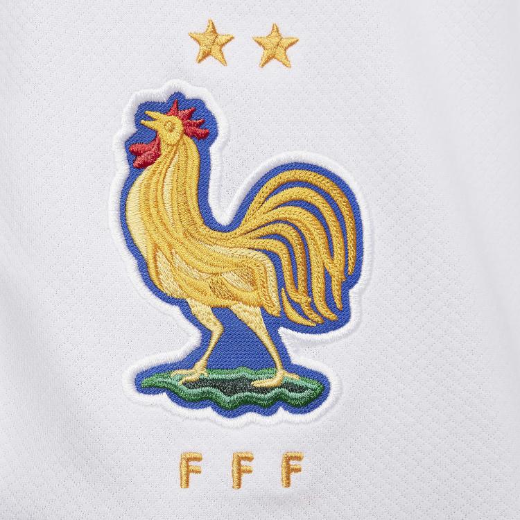 Nike Dri-Fit Logo Striped Drawstring Loose Straight Casual Shorts Men Shorts White FJ4296-100