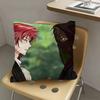 1pc Cale Henituse TCF Raon Miru Pillow Case Fashion Square Pillowcase Bedroom Sofa Room Ins Decoration Leisure