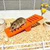 Hamster Seesaw Toy Cage Decoration Boredom Relief Small Animals Chinchilla Gerbil Rat Mouse Seesaw Exercise Toy Pet Supplies