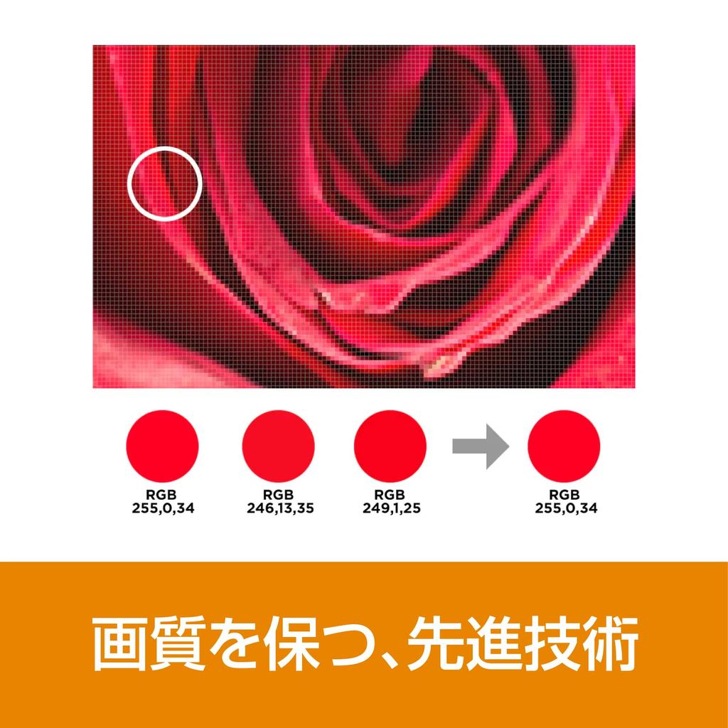 Video Compression Professional SourceNext