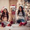 Christmas Dog Collar with Bow Adjustable Cotton Red Plaid Bowtie Dog Christmas Collars for Large Dogs Pets