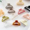 Elegance Half-Circle Geometric Hair Clip - Textured Temperament Jelly Updo Hairpin