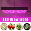 1200w Growing Lamps LED Grow Light 289 LEDS Full Spectrum for Greenhouse Indoor Hydroponic Plant Seedling Flower