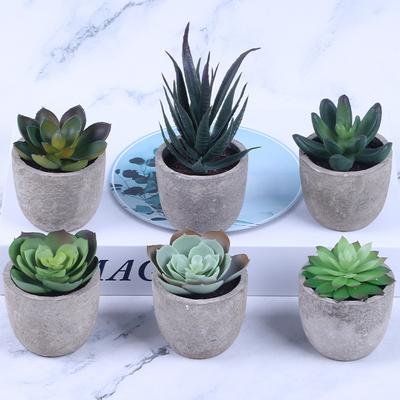 Simulierter Sukkulenten-Pulp-Bonsai, Simulierte Sukkulenten-Topfpflanzen-Kombination 3Es0853-1
