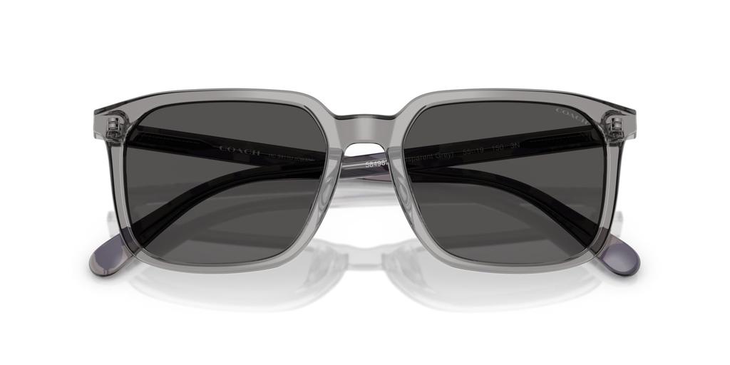 Sunglasses 0HC8411U TRANSPARENT GRAY 55 [Coach]