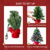 Small Tabletop Christmas Tree Multi-Color Lights Table Top Decorations Green Mini Lighted Xmas JOYFY 2FT LED 24 with for Kid Friendly Entertaining Fun