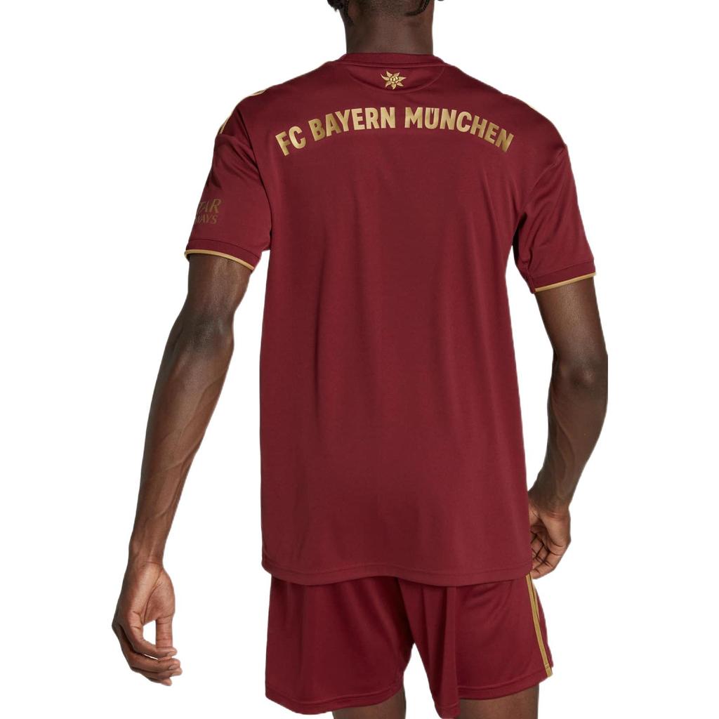 adidas Bayern Football FCB Wiesn Jsy Crew Neck Pullover Shirt 22/23 Men Tops Burgundy IC1435