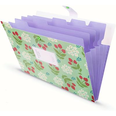 Plastic Snap Closure A4 Size File Holder File Organizer Document Organizer File Folder Floral File Folders Accordion Folder