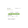 Daiwa UVF PE Durascensor X8EX+Si3 Lime Green 0.4mm 200m Fishing Line