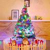 60CM/1.5M/1.8M Luxury Luminous Christmas Tree Set with Decorations