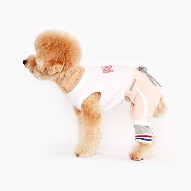 PET RUNDUM LÄUFENDE ALL-IN-ONE Rosa