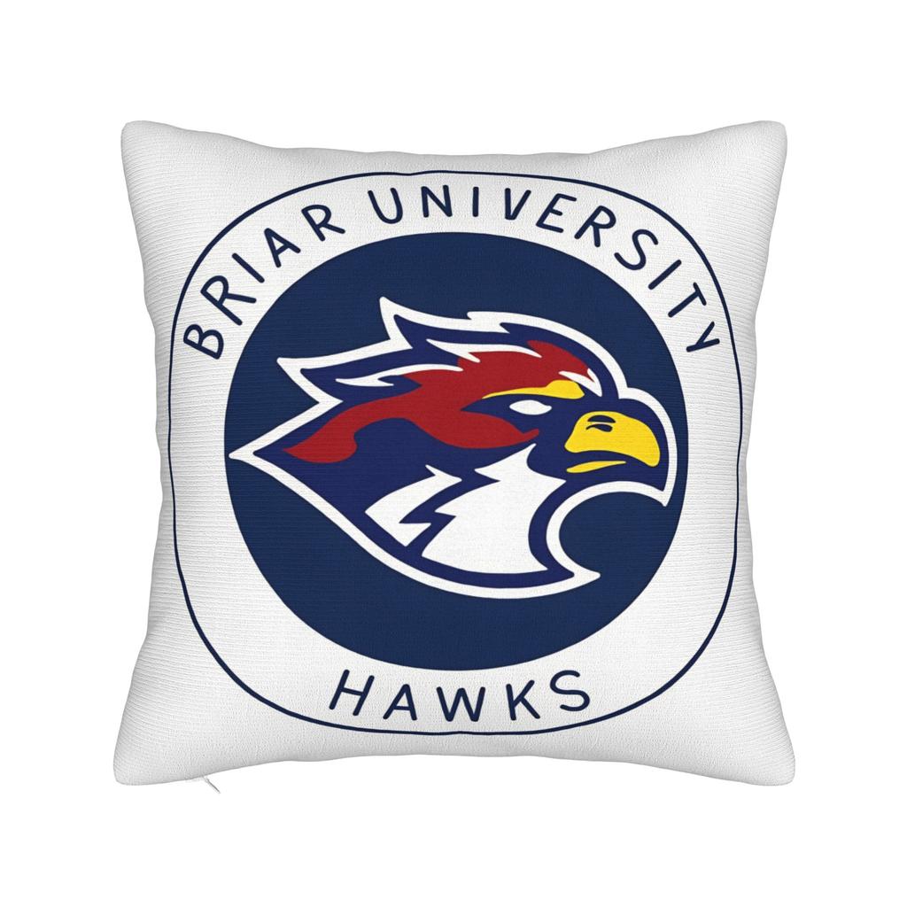 Briar U Hawks Briar University Hockey club Off Campus Pillow Cover Funny Pillow Case For Couch Sofa Bedroom Graphic Pillowcases