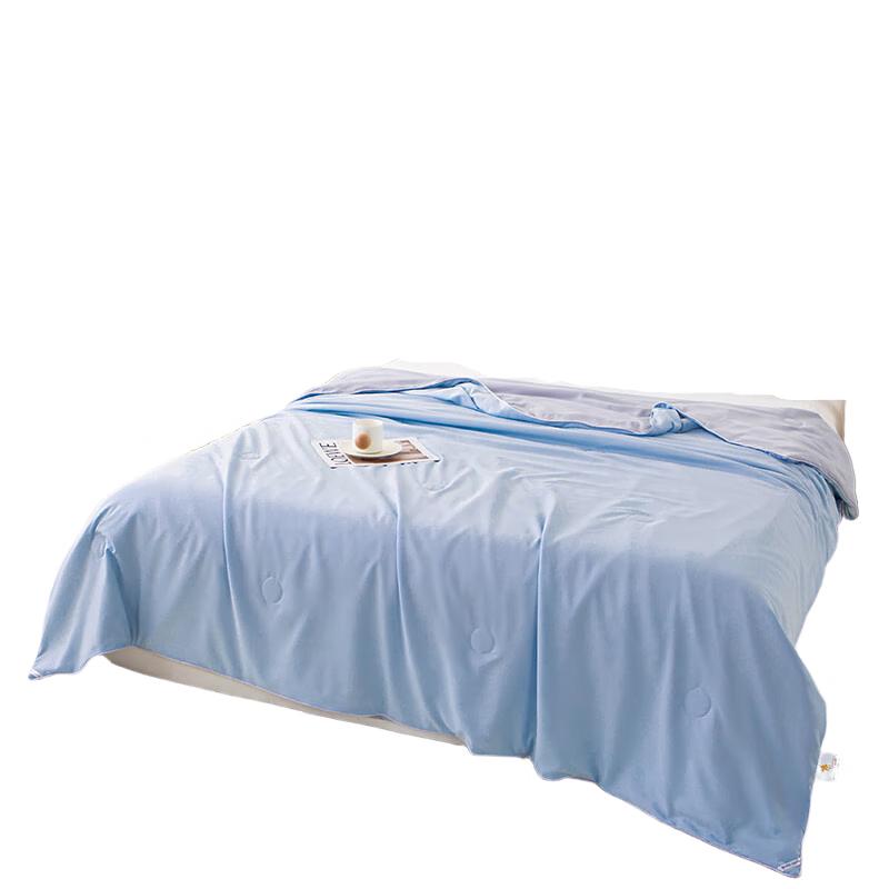 PAUI DAVID Aivi Bentley Blue All-Season Comfort Quilt