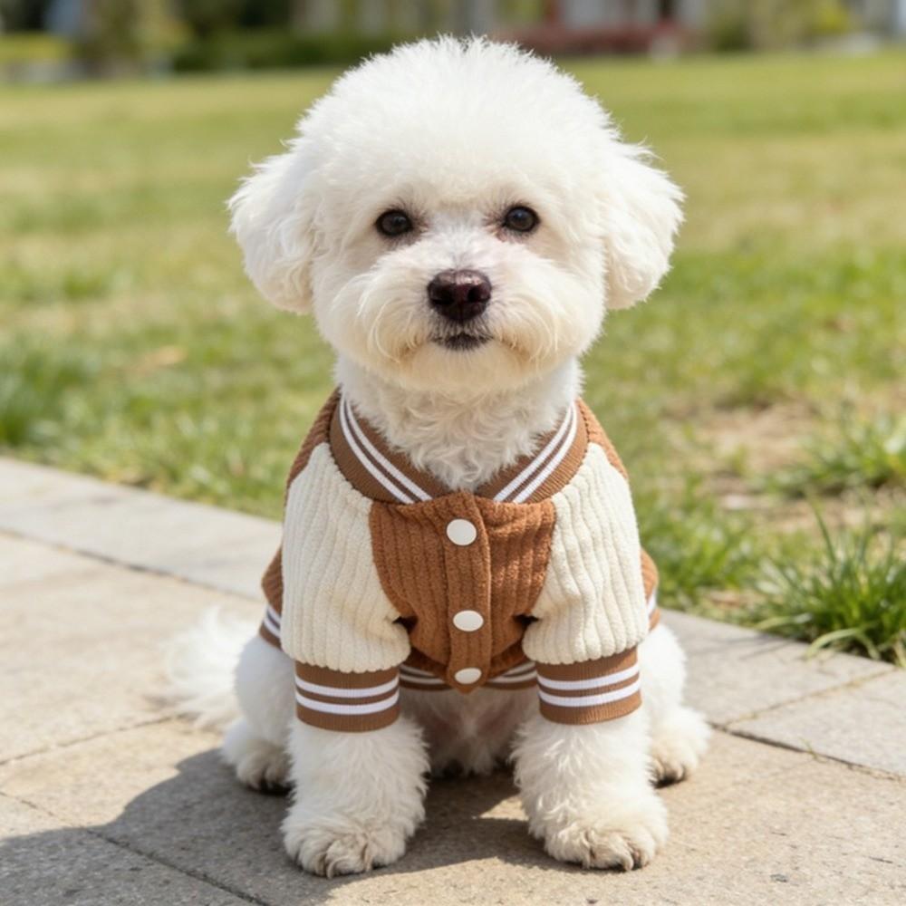 Embroidered Pet Baseball Jackets Warm Puppy Spring Clothes Thickened Puppy Coat Puppy Wear