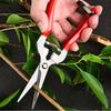 Orchard Fruit Picking Shears Picking Grapes and Melons Scissors Garden Fruit Tree Flower Branch Grafting Gardening Scissors