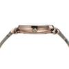 Emporio Armani AR11502 Gray Women's Watch,