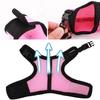 Breathable and stylish pet vest-style harness with adjustable soft strap and elastic leash set, suitable for rabbits and cats