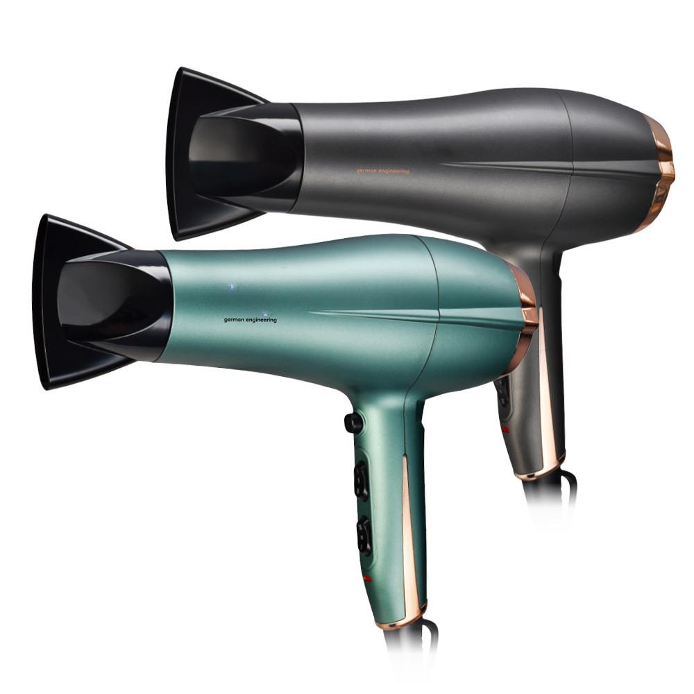 2200W 2 Speed Household High Power Electric Hair Dryer Adjustable Hair Salon Professional Blow Dryer